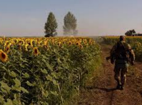 У Генштабі розкрили, скільки коштує Україні один день війни 